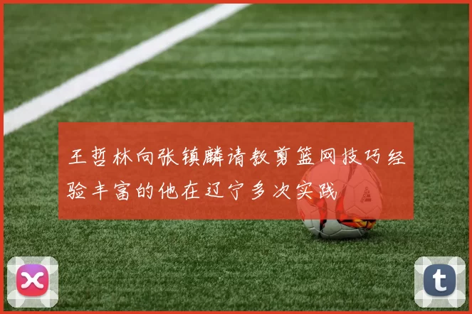 王哲林向张镇麟请教剪篮网技巧经验丰富的他在辽宁多次实践